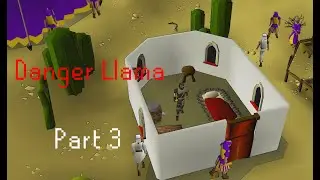 The 