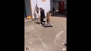 Dog spice