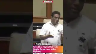 Cruz Silva Highlights Public Safety Concerns on Velim Highway