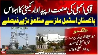 Major Decisions Taken on Pakistan Steel Mills in National Assembly Committee Meeting | Breaking News