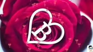 B alphabet WhatsApp status video