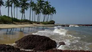 Bhogwe Beach in Konkan | Best Beach near tarkarli