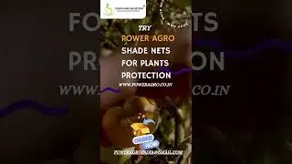 Power Agro Shade Nets For Plants Protection #agriculturesolutions #home #sunprotection #farmsmart
