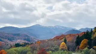 紅葉の🍁栗駒焼石ホットライン・奥州湖　2025年11月8日
