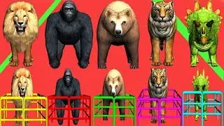 wild animals matching game for kids | nursery rhymes,children,toddlers,NASH TOON Tv