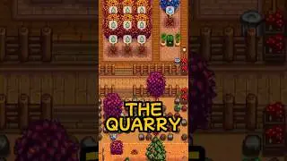 4 Types of Players Using the Quarry in Stardew Valley #stardewvalley