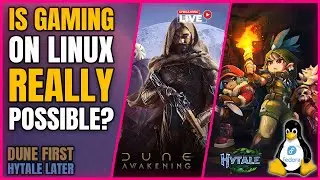 Playing games on linux and chatting with you!
