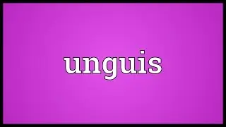 Unguis Meaning