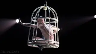 My past life as an acrobat and performer.