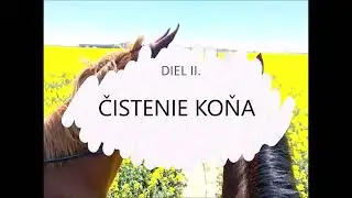 EnVideo - diel II. ČISTENIE KOŇA