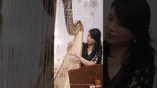 ✨Enchanting harp music for weddings and events🎶💌𝑫𝑴 𝒇𝒐𝒓 𝒋𝒐𝒃 𝒆𝒏𝒒𝒖𝒊𝒓𝒊𝒆𝒔@harpistarielle