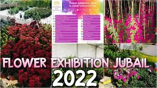 Flower exhibition in Jubail Fanateer | Fanateer south beach | Flower show in jubail |Saudi Arabia