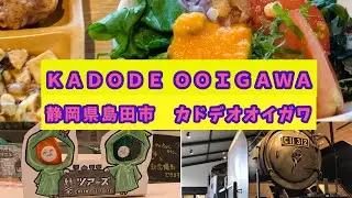 【KADODE OOIGWA かどでおおいがわ】静岡県島田市 「緑茶・農業・観光の体験型フードパーク」SLの見えるレストランでビュッフェを堪能してきました