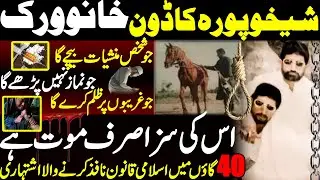 Shaikhupura Don Khanu Varik || Khanu Virk Shaikhupura Don || Ali Raza Shirazi || Shaan Pakistan