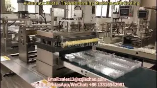 Auto plastic PVC PET clamshell blister tray forming molding vacuum thermoforming die cutting machine