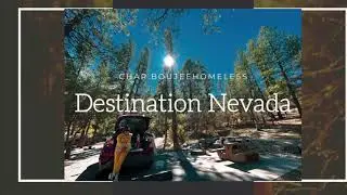 CAR LIFE Adventures with my Doge in my Toyota Hotel CHR - Kyle Canyon Rd.