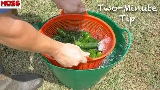The Best Containers for Washing Garden Vegetables!