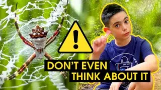 Exploring Secret Woods Nature Center: Spiders and Snakes / Hiking trough the trail full of wildlife