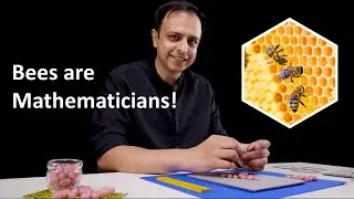 Скрытая математика сот 🐝