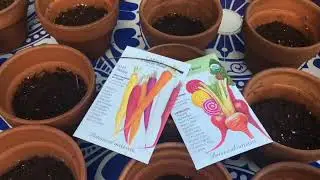 Planting Mustard Greens/ Sowing Carrot Seeds| Zone 7b| Spring Garden Prep| February 2023