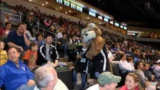 Austin Toros Fan Photo Montage April 2013