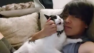 Revving up the kitty engine