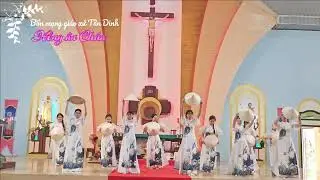 Hồng ân Chúa | Bổn mạng giáo xứ Tân dinh