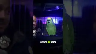 Parrot Roasts Cops in Patrol Car &mdash; &ldquo;Your Playlist Is a Crime!&rdquo; 🚓🦜😂 | Real Police Footage 2025