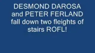 DESMOND DAROSA and PETER FERLAND fall down two fleights of stairs! ROFL!