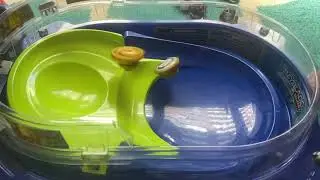 Beyblade Battle: Golden Judgement Dragon D5 vs. Orichalcum 03