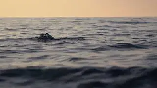 Dark seascape, cinematic slow motion | Free stock footage