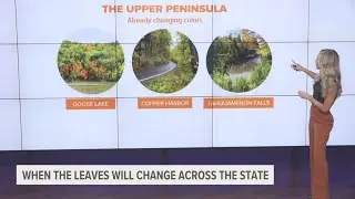Your guide to finding fall colors in Michigan