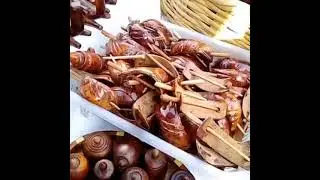 جولة في مدينة الصويرة تعرفوا على صناعة خشب العرعار بكل أنواعه و أشكاله الرائعة