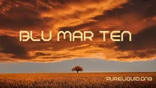Blu Mar Ten Tribute Mix (Pure:Liquid) No: 213