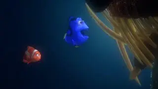 Best of Dory 6