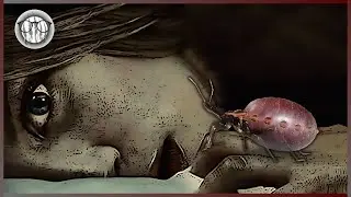 5 Nature's Bloodsuckers: The Undercover Vampires of the Animal Kingdom
