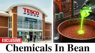 8 WORST UK Baked Bean Brands You Must Avoid (Exposed)
