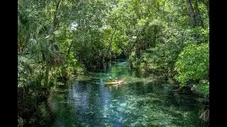 Kayaking Silver River, Florida - cypress swamp springs and manatees