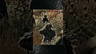 Best Sniper Training 👀 | Clear and Present Danger (1994) #shorts #edit