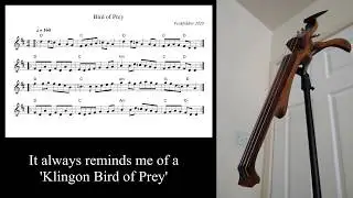 Folk Rock Fiddle - The Bird of Prey