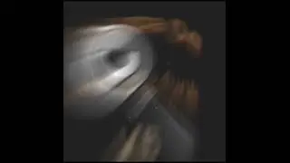 O Lupa De Pedreiro Funk V5 (Super Slowed)