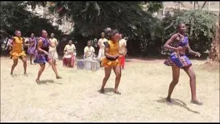 kactas africa