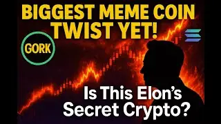 New XAI Gork (GORK) Explodes 300%! Elon Musk xAI Link or Meme Hype? | Solana Crypto Alert