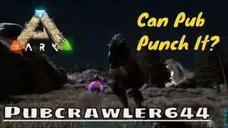 Can Pub Punch It? Ark Pubcrawler644 Plays Games - New Series (Maybe)