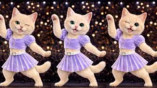 Dancing Cats Steals The Spotlight 😍🐱 | Adorable Highlights 🐾💖