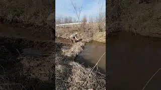 Освобождение пути через озеро, заблокированного плотиной бобров