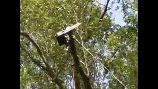 High Limb Tree Trimmer MPEG