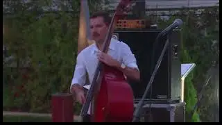 Концерт &laquo;Музыка математического парка&raquo; 2020   BASS solo