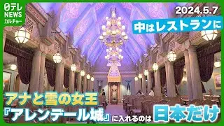 【東京ディズニーシー】アナ雪の新エリア　『アレンデール城』に入れるのは日本だけ　中はレストランに　#ファンタジースプリングス　#フローズンキングダム