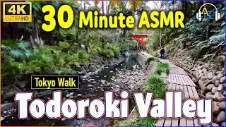 JAPANESE ASMR: Todoroki Valley in Tokyo(Virtual Walk)